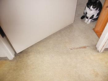 変換 ～ DSCN2234.jpg